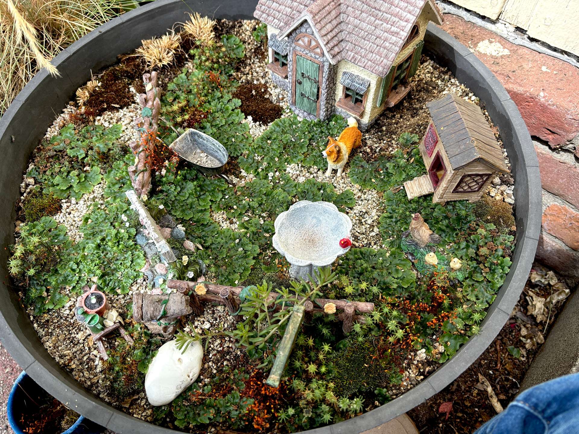 IMG_9650 2