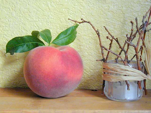 Peach Portrait 001
