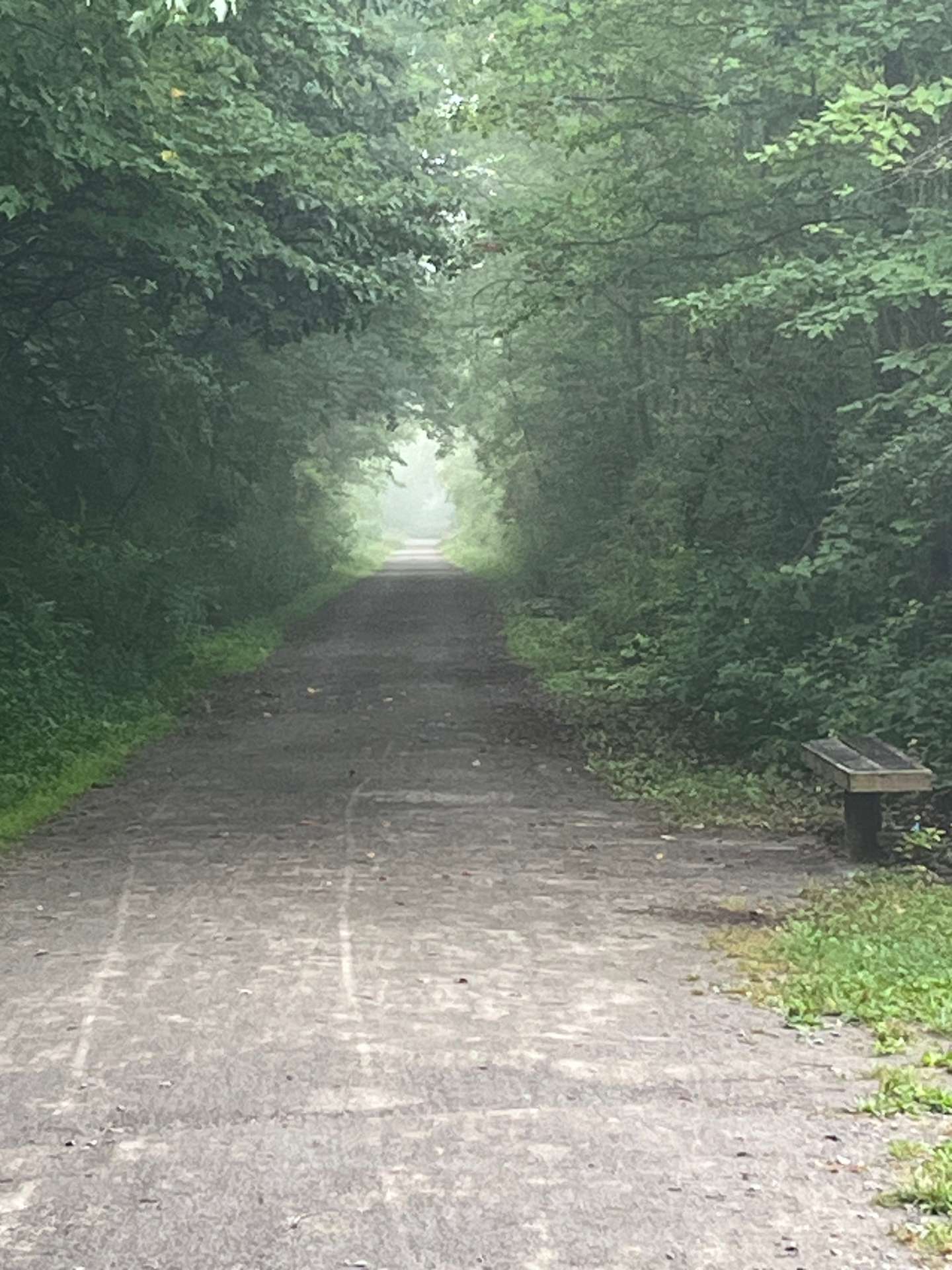 My trail