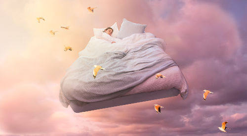 A Dream Diary